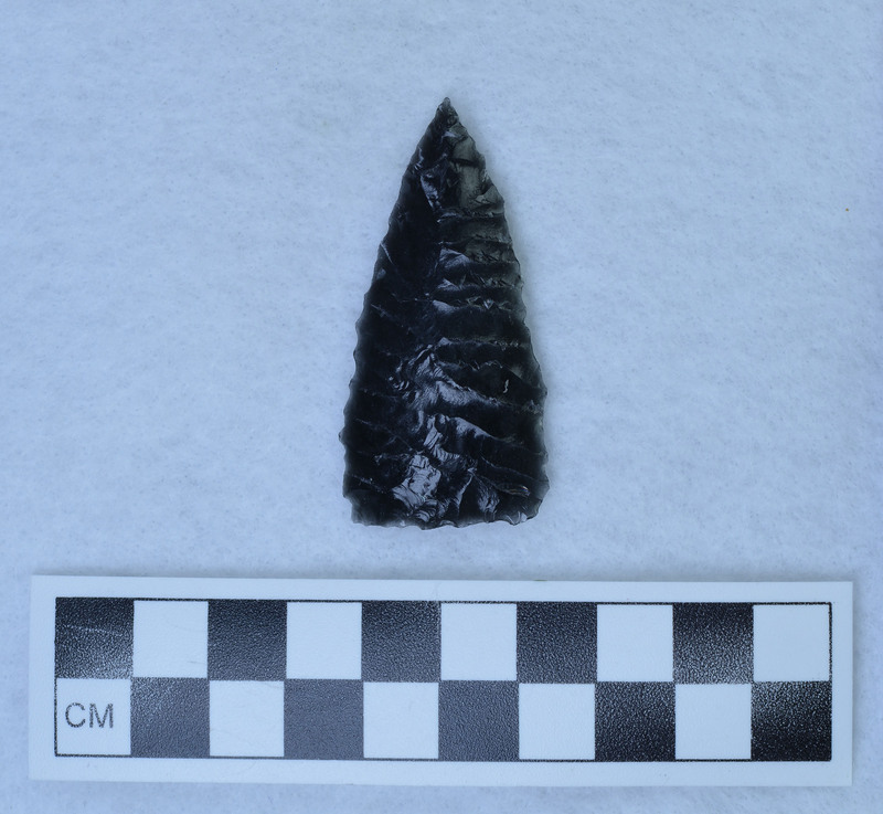 Parallel diagonal to midline