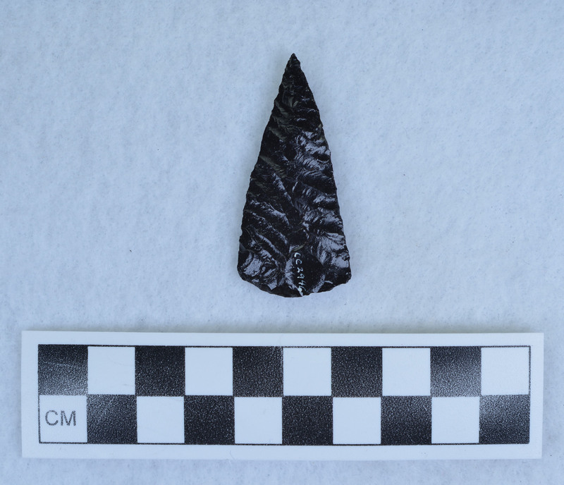 Parallel diagonal flaking to midline