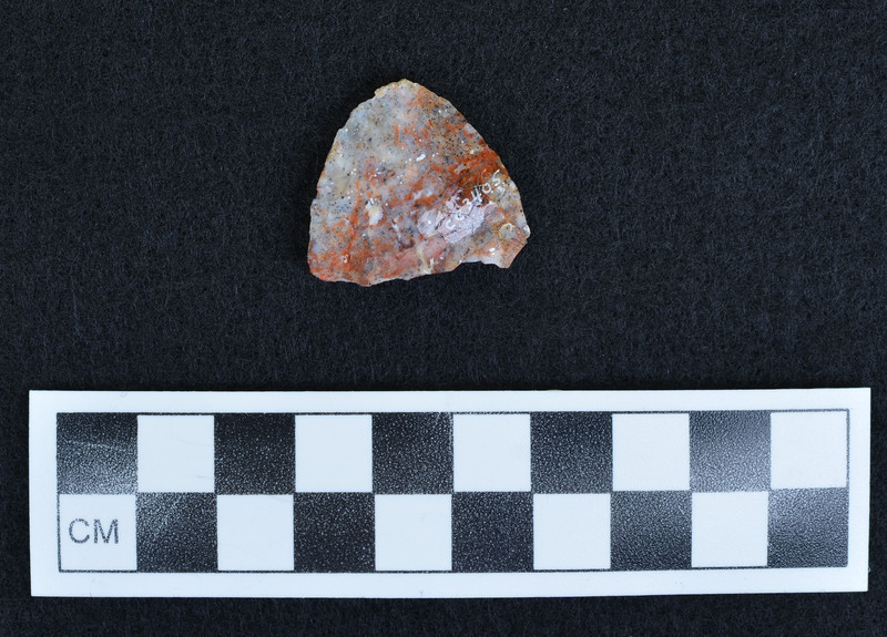 Found in film box with blades Ce.3045 - Ce.3404. (MAP)