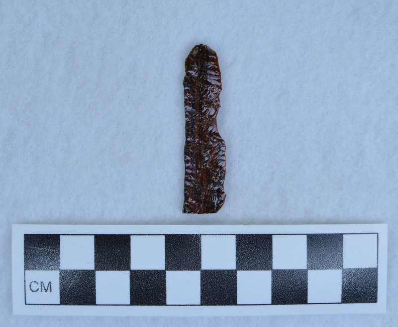 Unifacially flaked prismatic blade section.