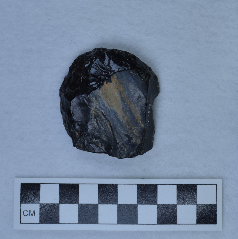 Proximal end of flake, percussion flaked, one face