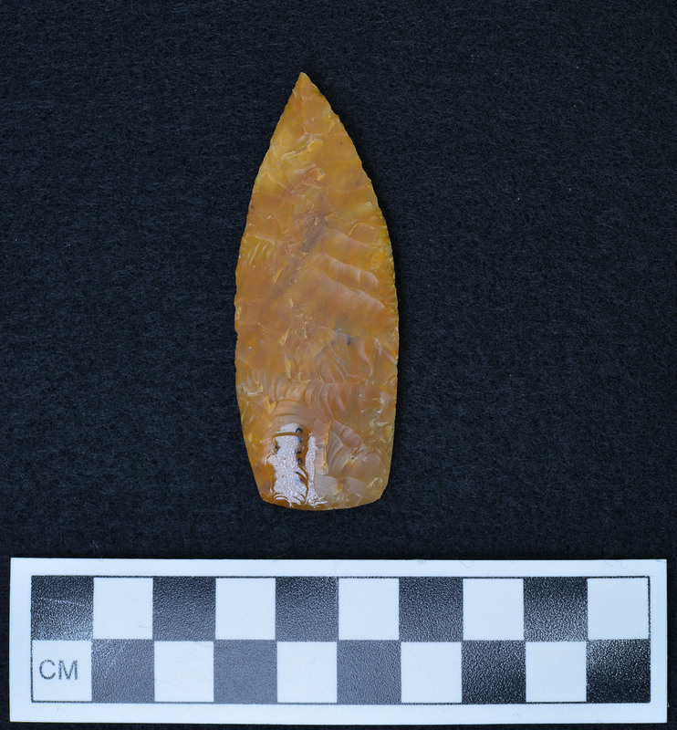 Heavily ground basal margins