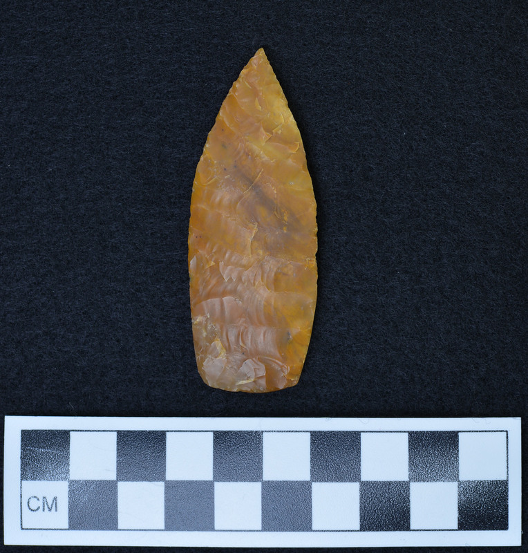 Heavily ground basal margins