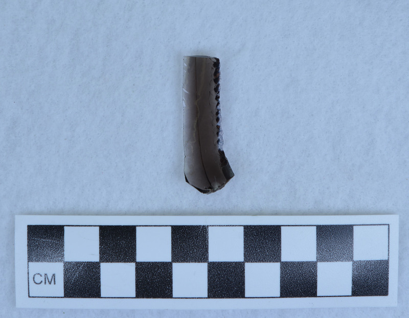 Pressure flaking on margin of prismatic blade