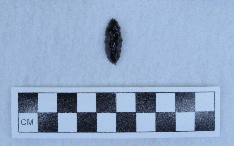 Pressure flaked on all margins of dorsal side