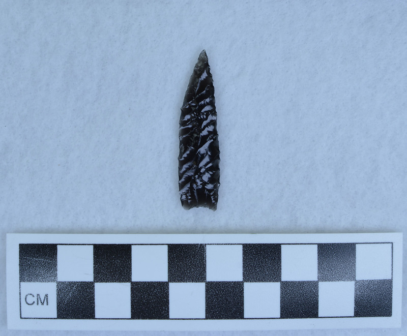 Lanceolate, indented base