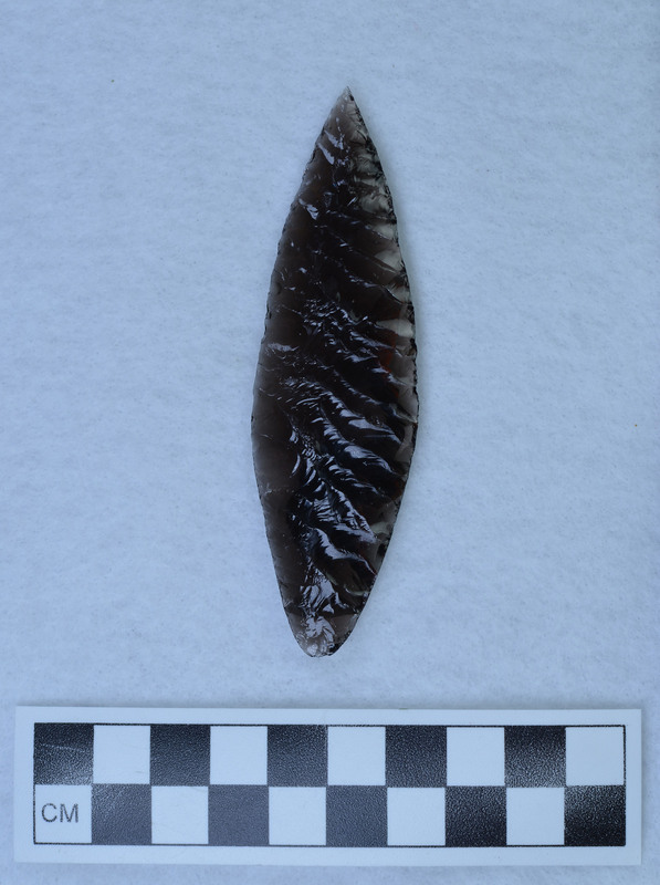 Ground basal margins