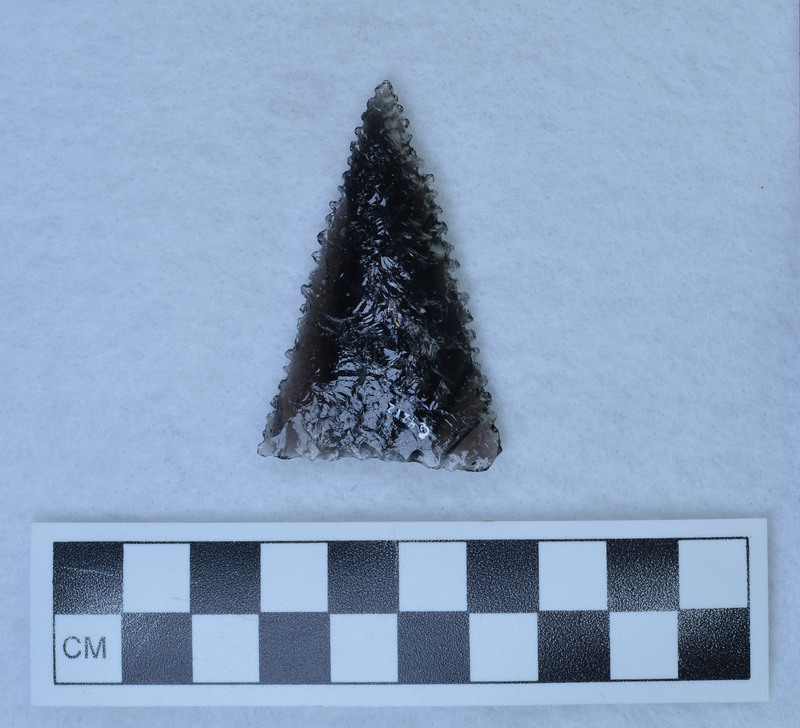 Triangular, serrated