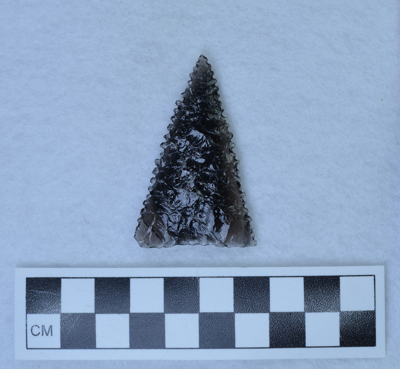 Triangular, serrated