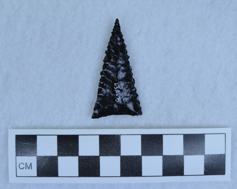 Serrated, triangular