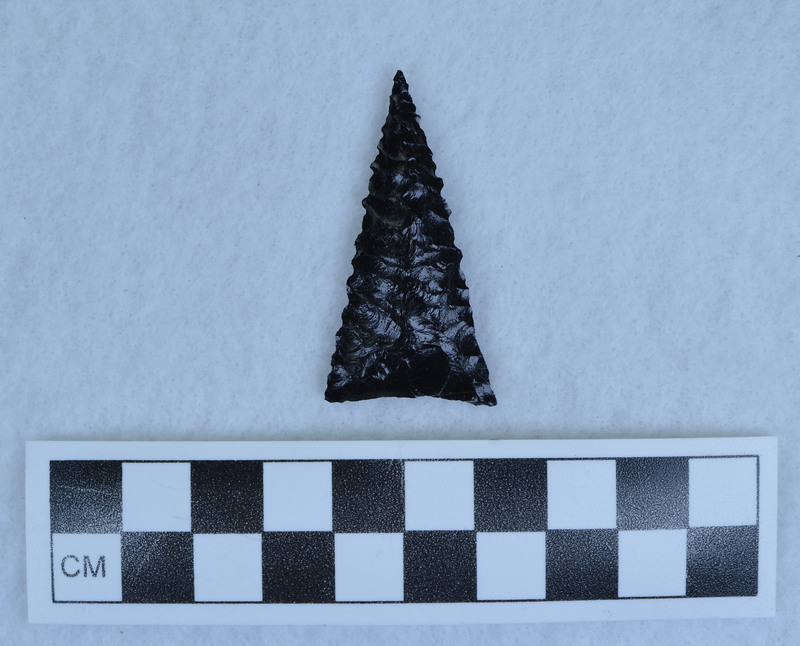 Serrated, triangular