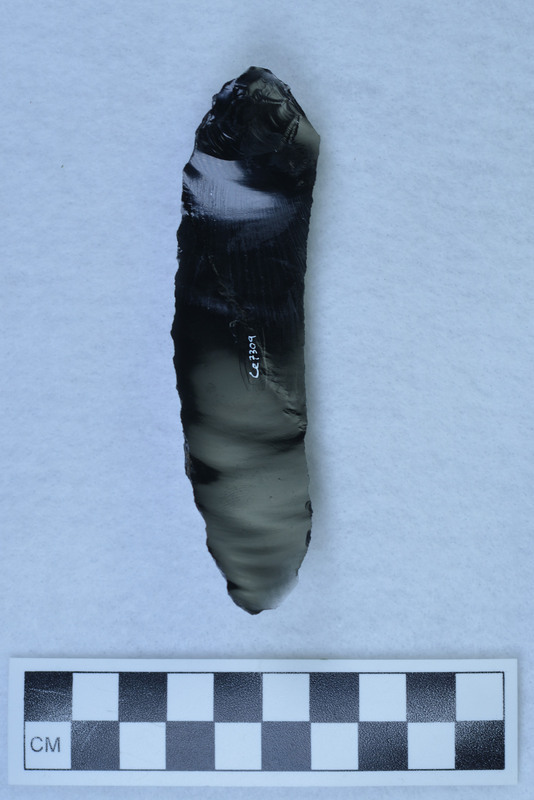 Made on percussion blade, assoc. with Ce.7308