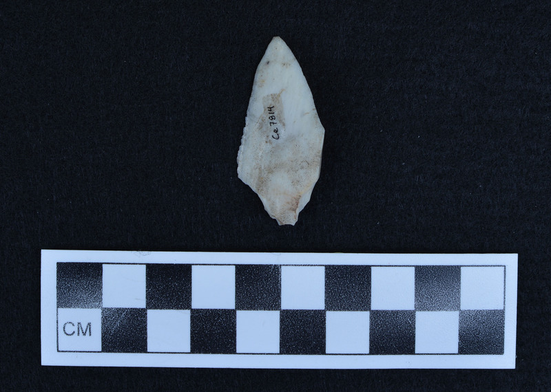 Percussion, modified at base