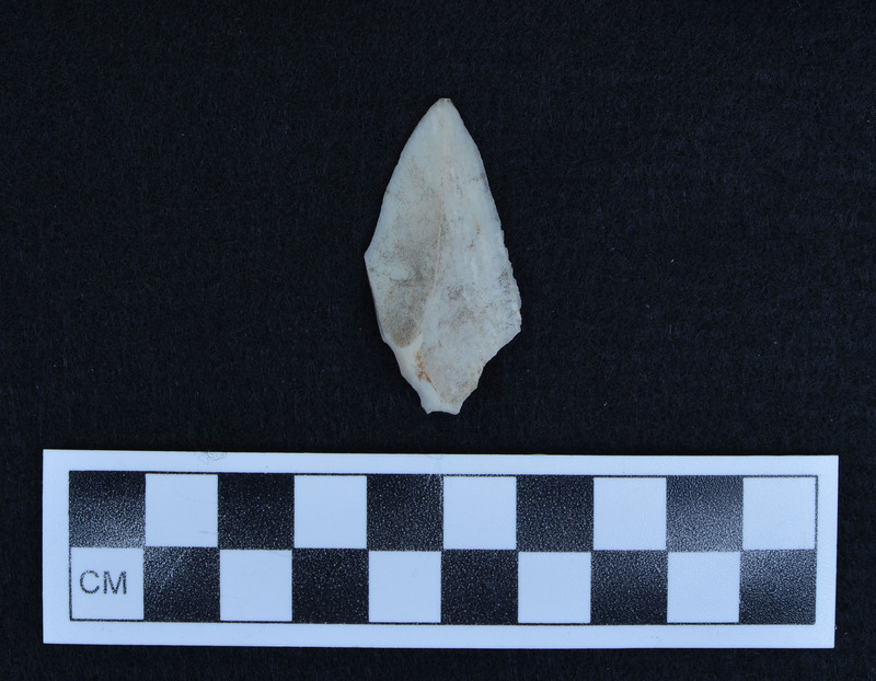 Percussion, modified at base