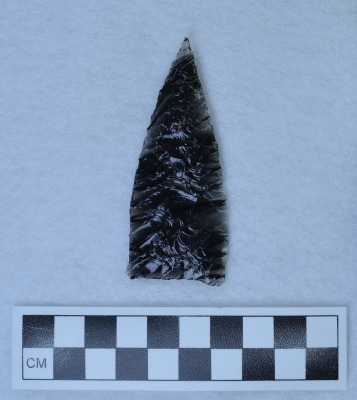 One face Titmus tech., one face Crabtree tech.