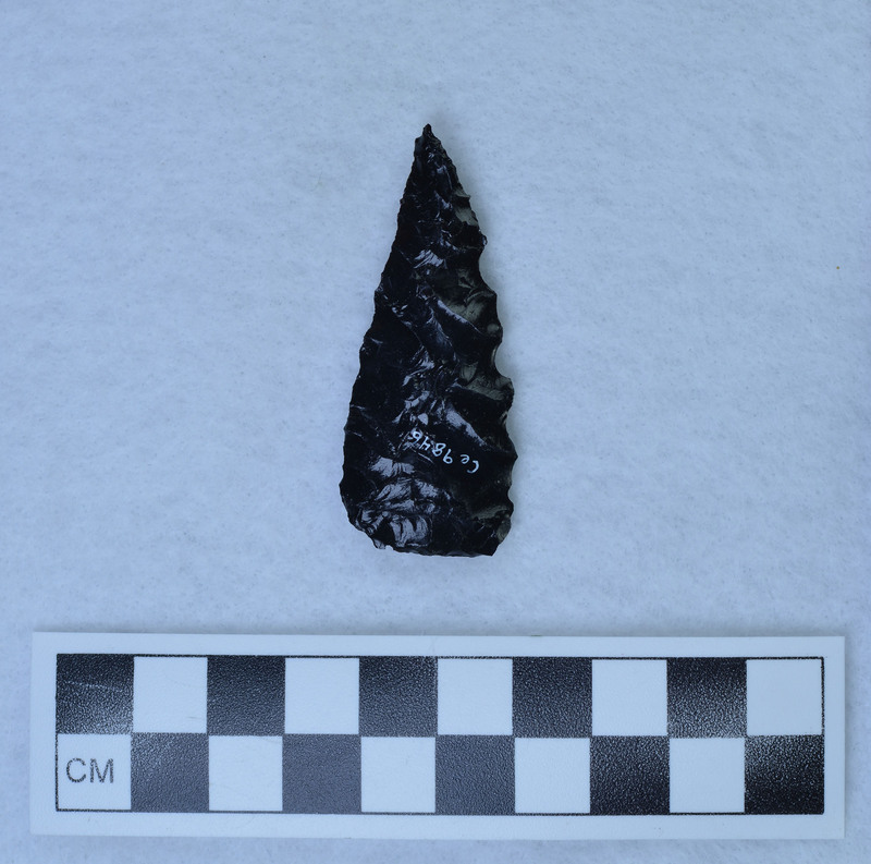 Titmus technique one face, Crabtree other, Parallel diagonal flaked. (GT)