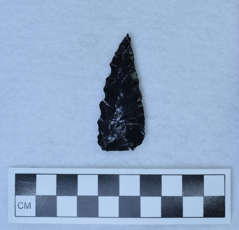 Titmus technique one face, Crabtree other, Parallel diagonal flaked. (GT)