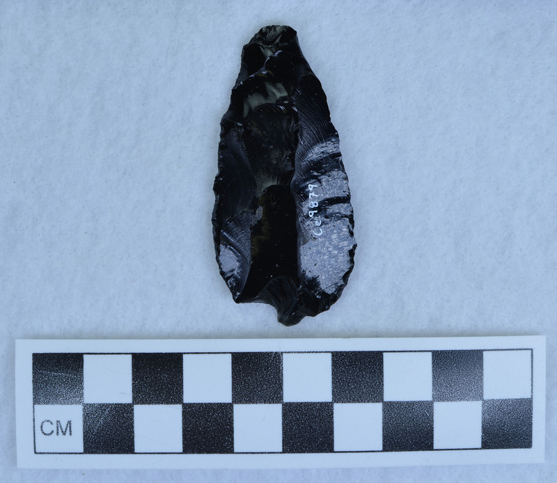 Titmus flaking, Bag has two dates written on it. (DJC)