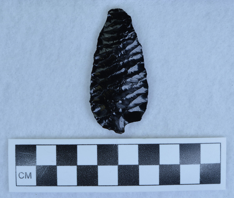 Titmus flaking, Bag has two dates written on it. (DJC)