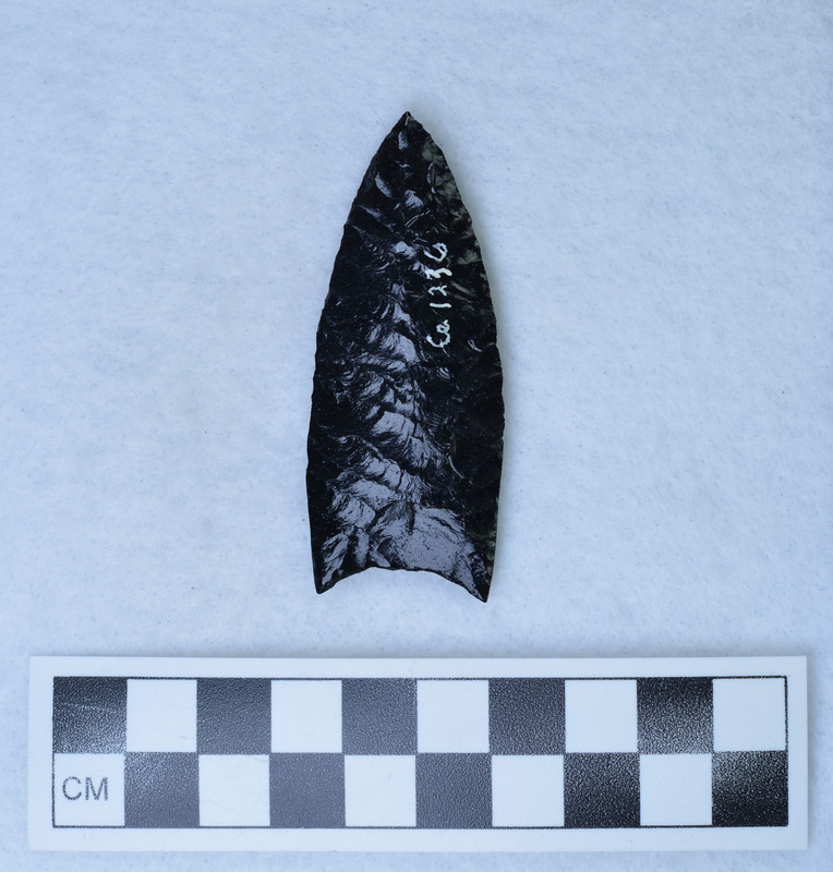 Small clovis point, basal thinned, basal edges ground, Parallel diagonal flaking. (GT)