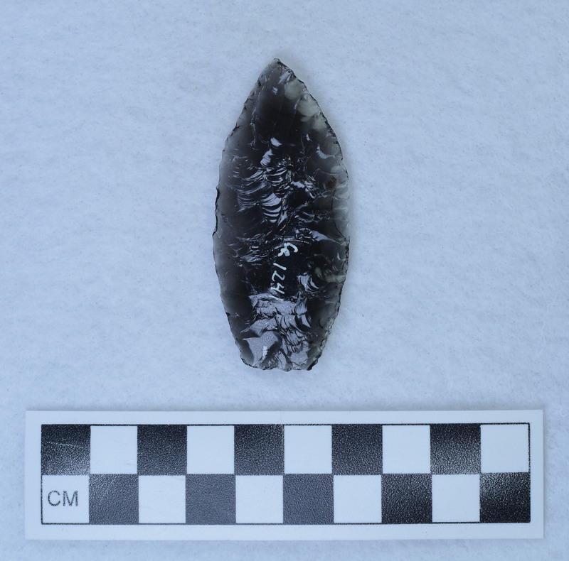 Primary thinning flakes