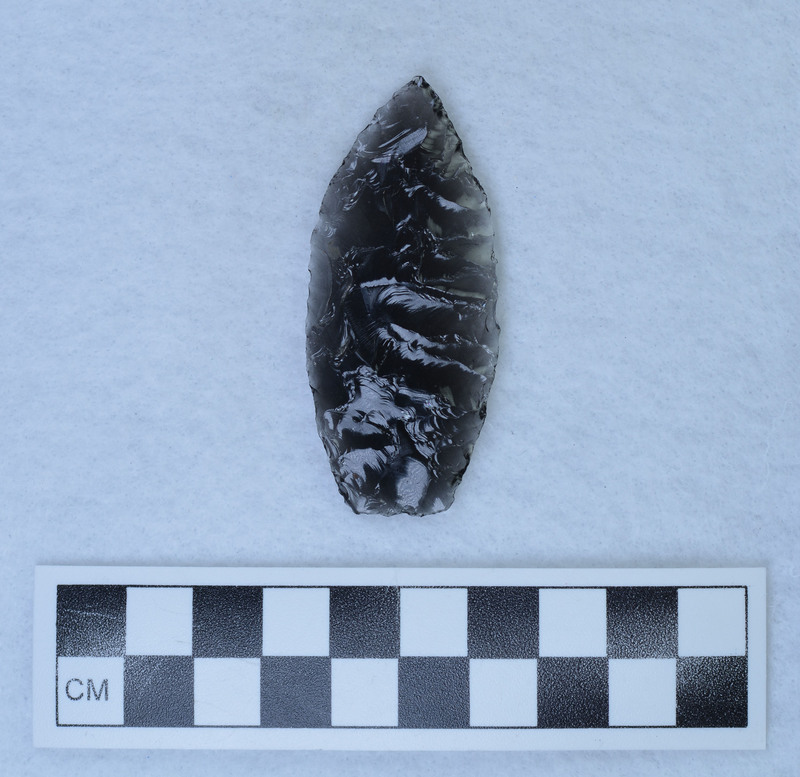 Primary thinning flakes