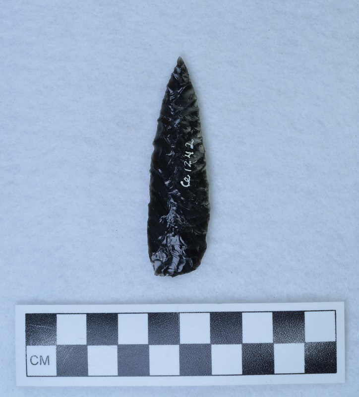 Mixture of palm holding and finger holding