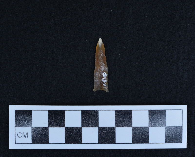 Heat treated, lanceolate