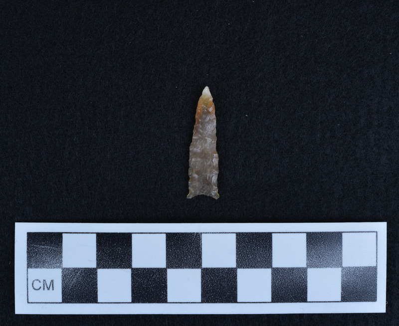 Heat treated, lanceolate