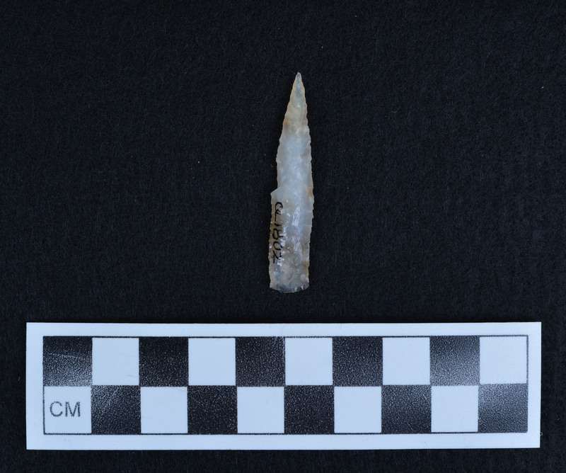 Lanceolate, heat treated, nick in the margin