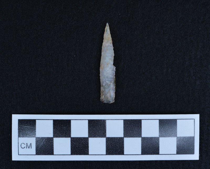 Lanceolate, heat treated, nick in the margin