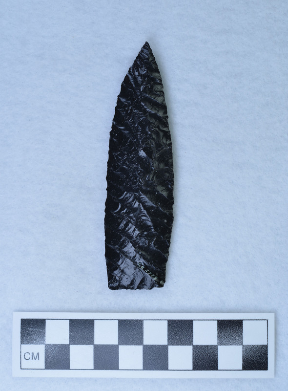 Palm holding technique