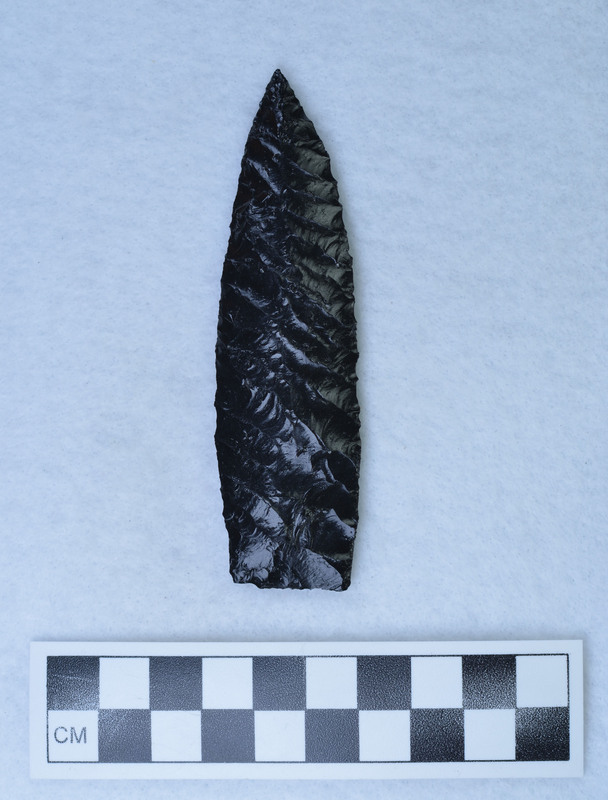 Palm holding technique