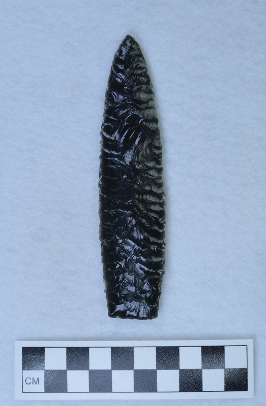 Parallel diagonal flaking, One percussion scar still visible. (GT)