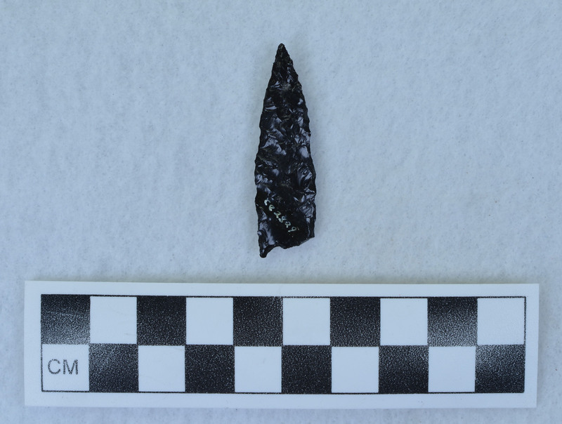 Lanceolate, indented base, 1 ear missing, Diagonal parallel flaked, base thinned by pressure. (GT)