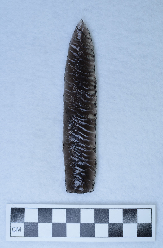 Parallel flaked, one face has narrow flaking, lanceolate style, Other face wide flaking. (GT)