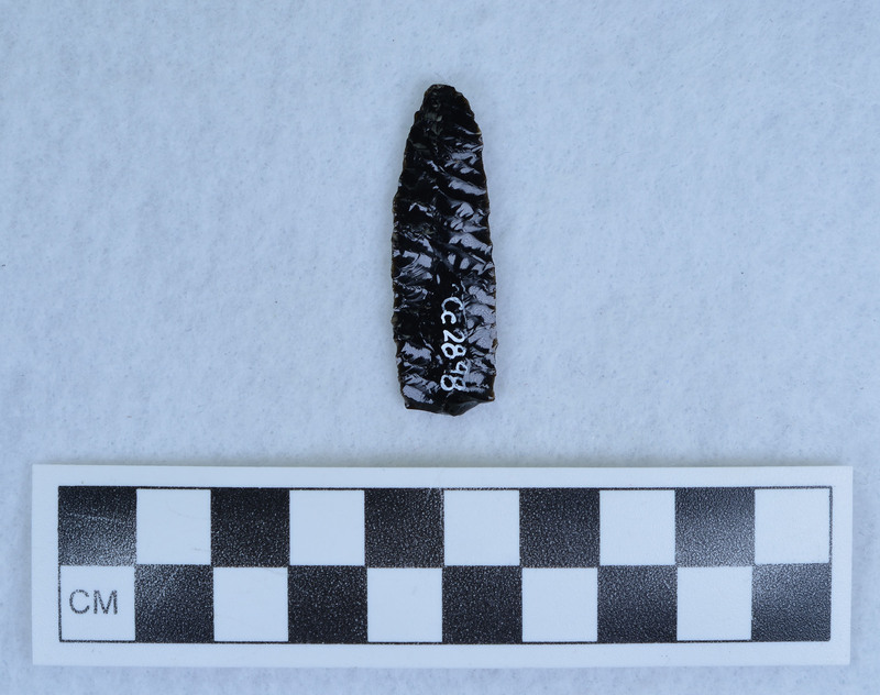 Parallel flaked to midline