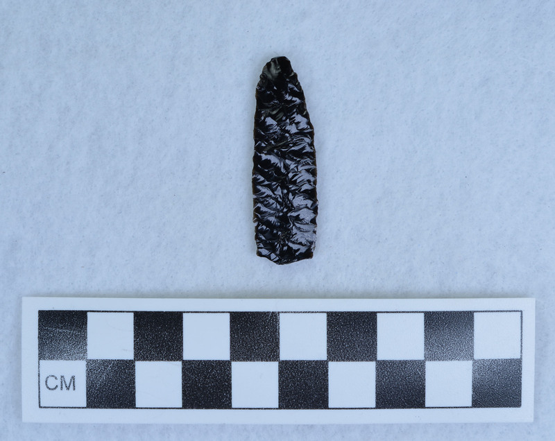 Parallel flaked to midline