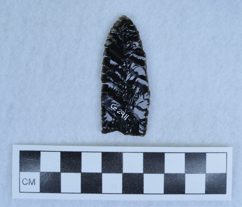 Parallel diagonal flaked, base thinned, possibly damaged