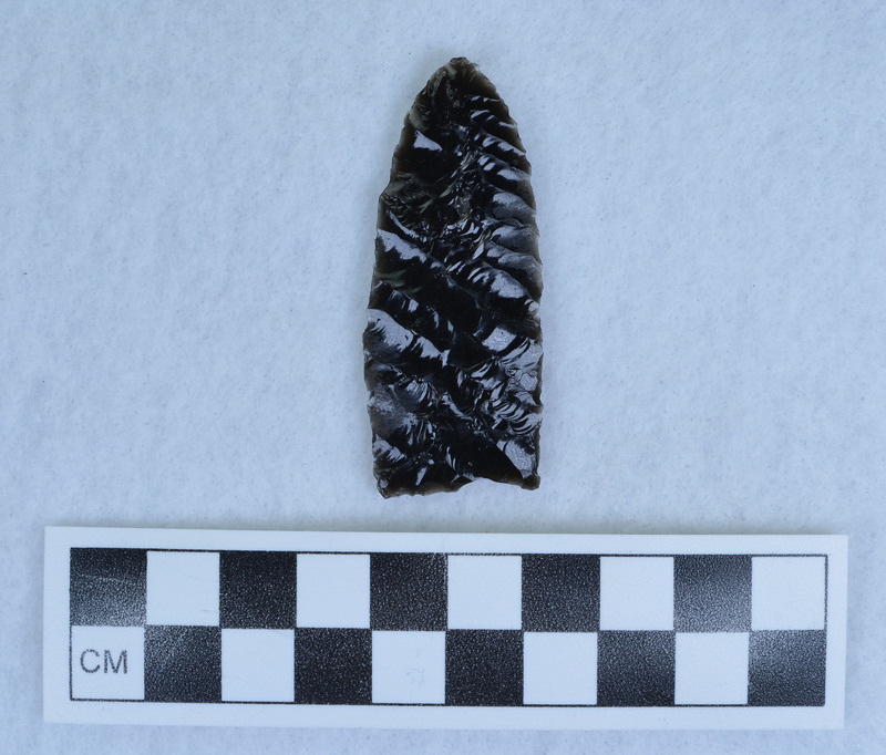 Parallel diagonal flaked, base thinned, possibly damaged