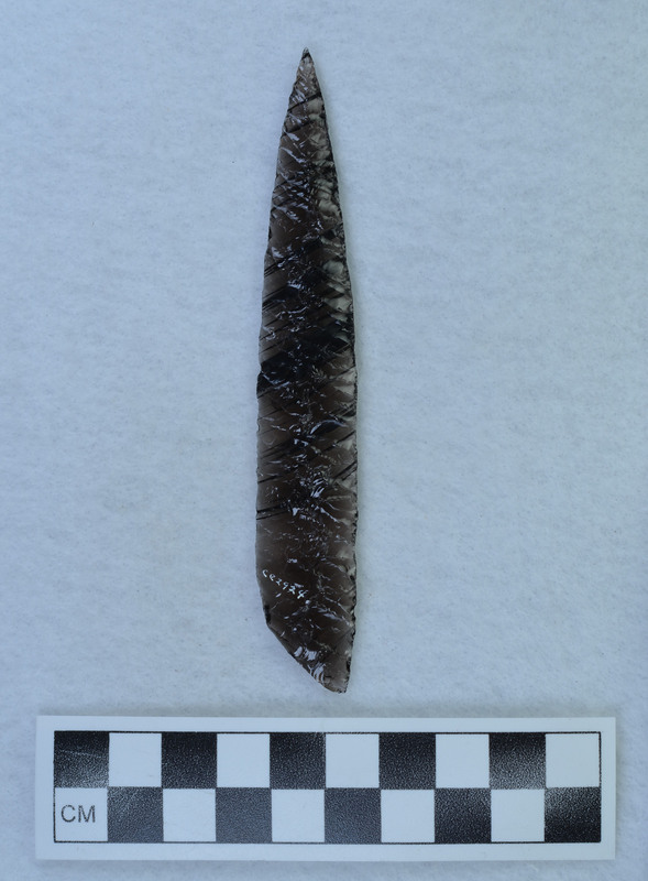 Narrow parallel diagonal flaking, Cortex on proximal end. Appears to have been sawed. (MAP) RLS & LE-J agree on cortex. Disagree on sawn blank. 2-1-22