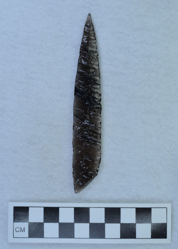 Narrow parallel diagonal flaking, Cortex on proximal end. Appears to have been sawed. (MAP) RLS & LE-J agree on cortex. Disagree on sawn blank. 2-1-22