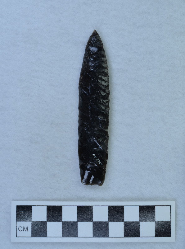 Flaked to midline ridge, lanceolate style, basal thinning