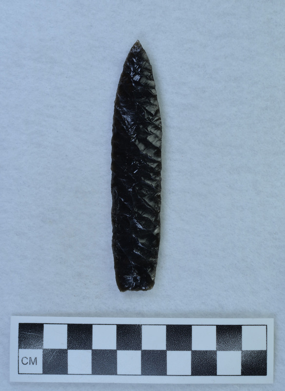 Flaked to midline ridge, lanceolate style, basal thinning