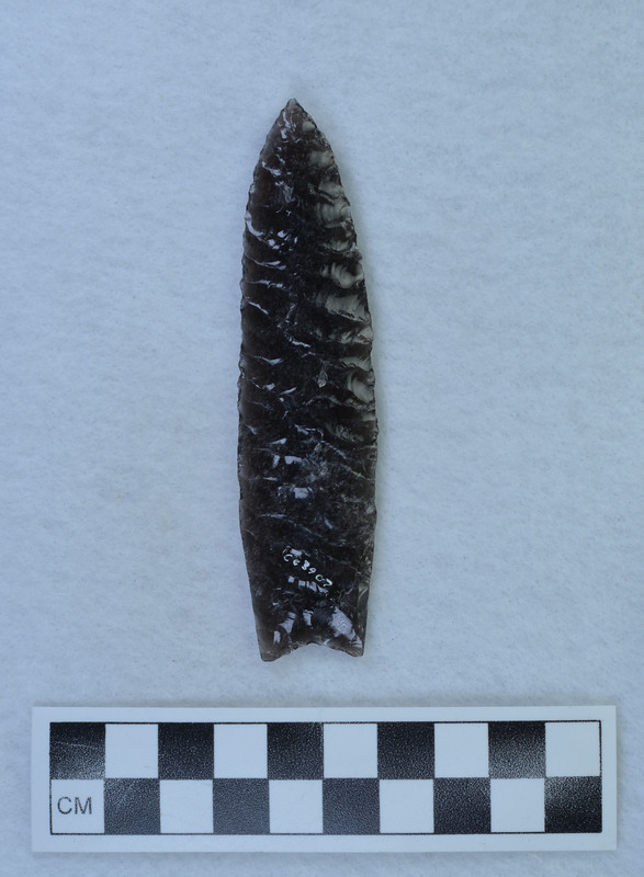 Ground basal margins