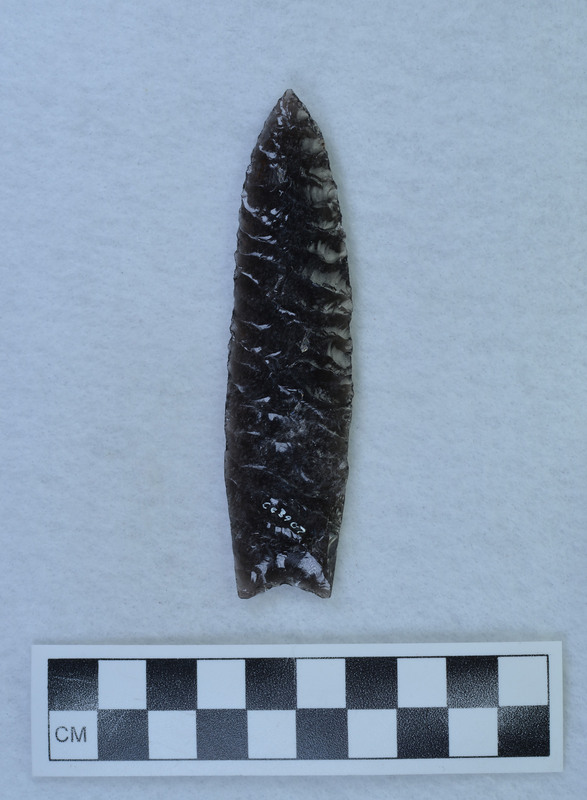 Ground basal margins