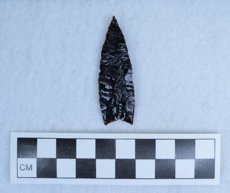 Parallel diagonal flaking, basal thinning flakes