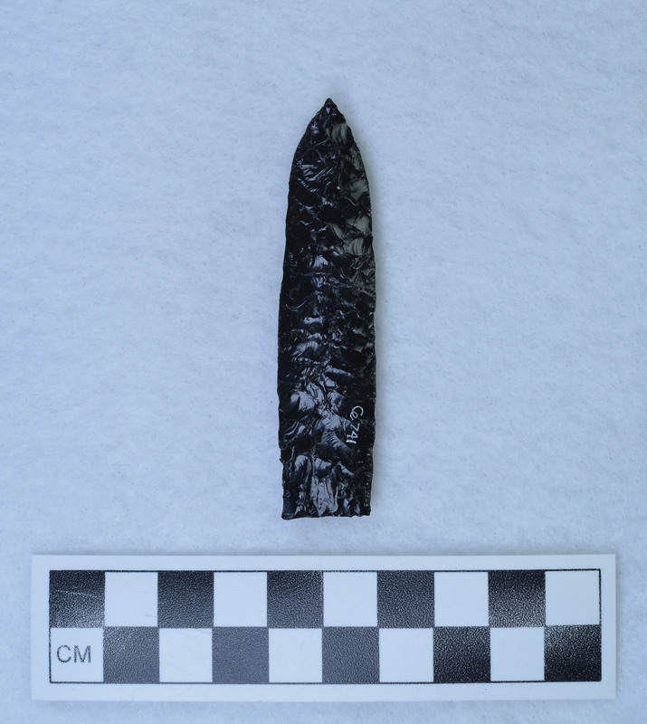 Lanceolate, Idaho Falls source? (JW)