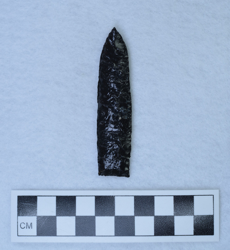 Lanceolate, Idaho Falls source? (JW)