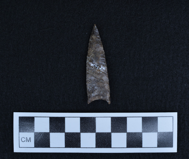 Basally thinned one face